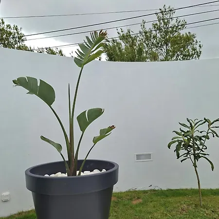 Ljr Sao Vicente Ferreira Apartmán
