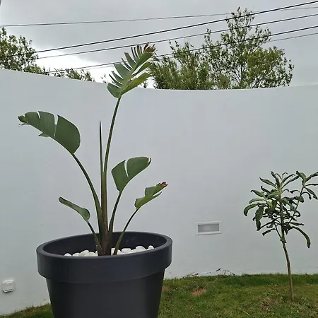 Apartmán Ljr Sao Vicente Ferreira